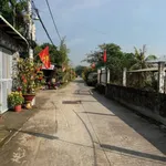 Bán nhà vườn 705m² tại xã Tân Nhựt Bình Chánh, giá 8 tỷ - Ảnh thu nhỏ 2