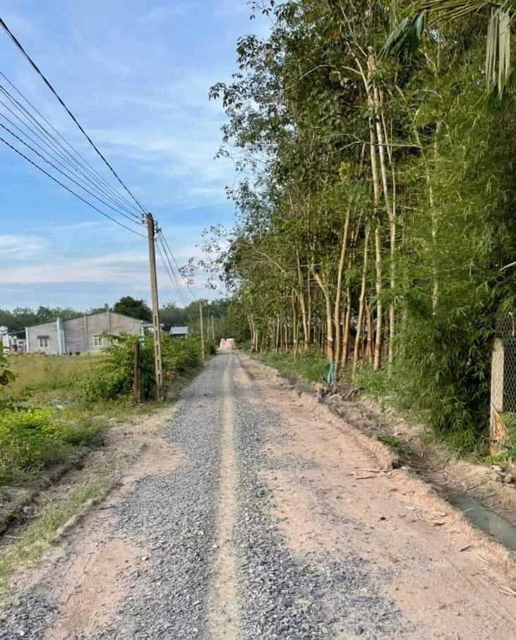 Bán đất Xã Phan 50m² giá 550 triệu - Ảnh thu nhỏ 5