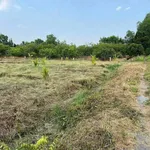Bán đất nền 1000m² Bến Lức Long An, 550 triệu - Ảnh thu nhỏ 2