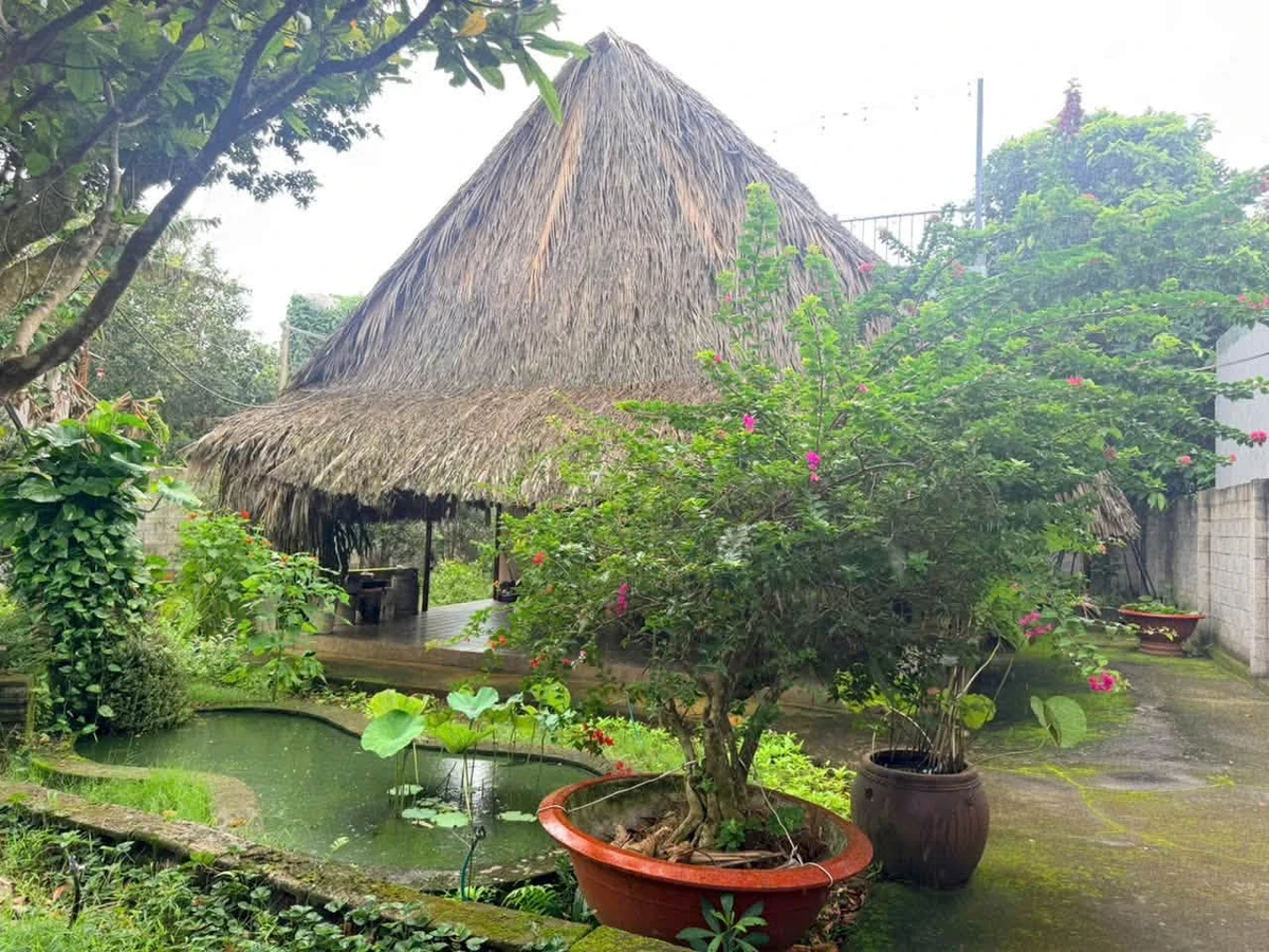 Bán đất 600m2 gần uỷ ban Bàu Sen, Nhà Bè - 2,9 tỷ - Ảnh thu nhỏ 5