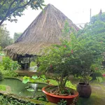 Bán đất 600m2 gần uỷ ban Bàu Sen, Nhà Bè - 2,9 tỷ - Ảnh thu nhỏ 5