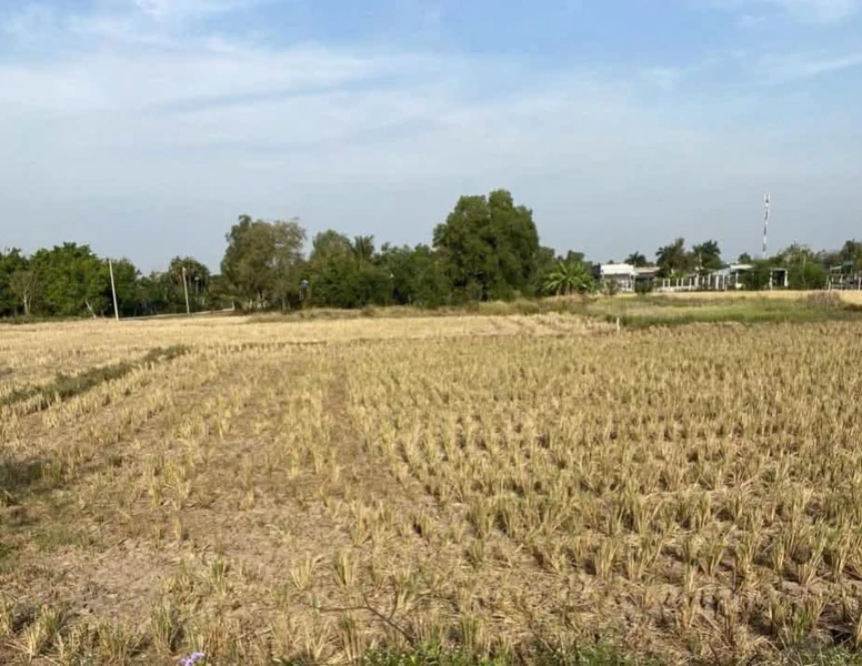 Bán lô đất 743m2 xã Tân Quý Tây, Bình Chánh, giá 5,5 tỷ