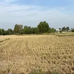 Bán lô đất 743m2 xã Tân Quý Tây, Bình Chánh, giá 5,5 tỷ - Ảnh thu nhỏ 1