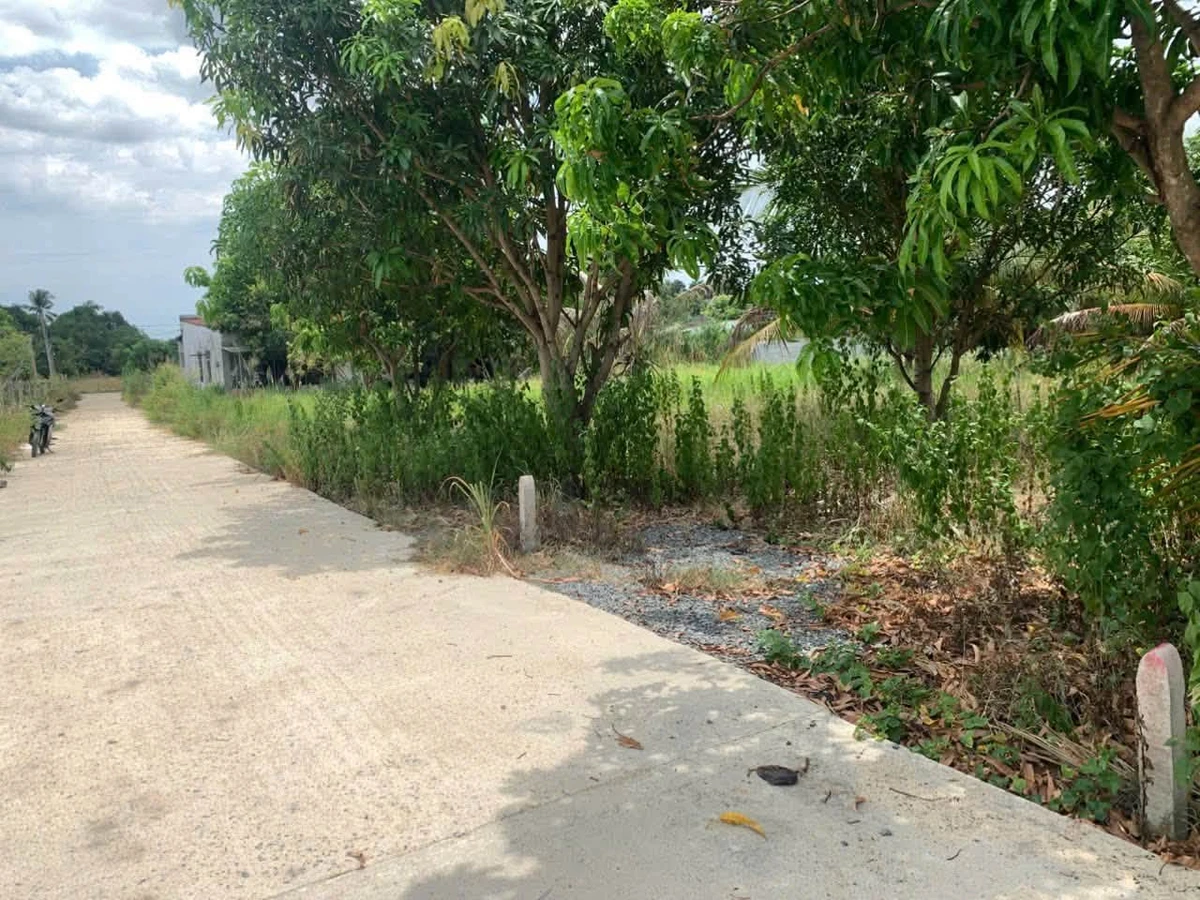 Bán lô đất Cam Lâm, Khánh Hòa 176m² giá 1.3 tỷ - Ảnh 1