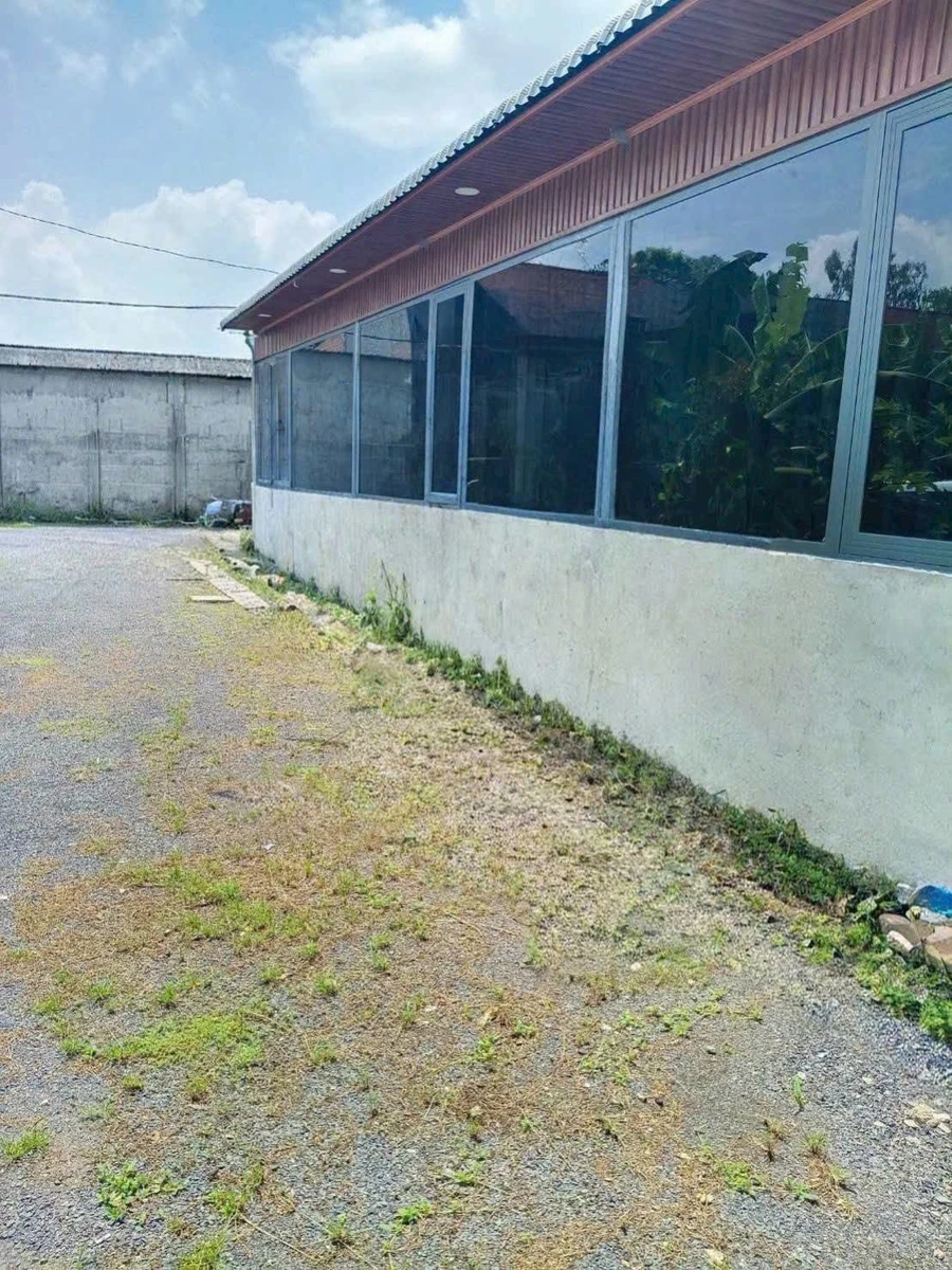 Bán nhà cấp 4 250m2 Phường Bửu Long 1 tỷ 650 triệu - Ảnh 1