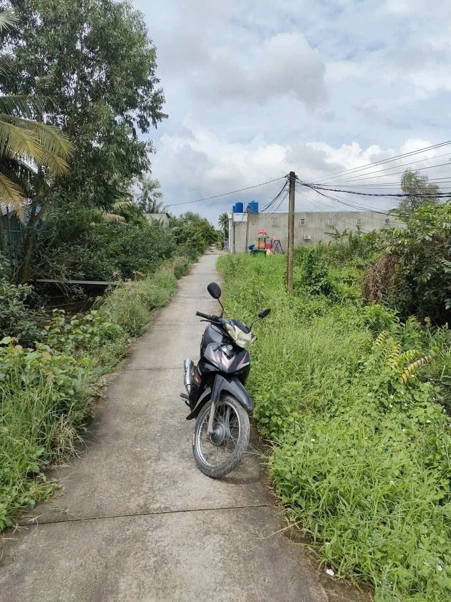 Bán 1000m² đất vườn mặt tiền ôtô Tây Ninh 2,3 tỷ - Ảnh thu nhỏ 3