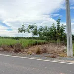 Bán 2 lô đất mặt tiền đường DH12 270m² Bình Dương - Ảnh thu nhỏ 3