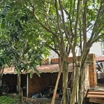 Bán nhà rộng đất lớn 900m² gần KCN Trảng Bàng 2,4 tỷ - Ảnh thu nhỏ 4
