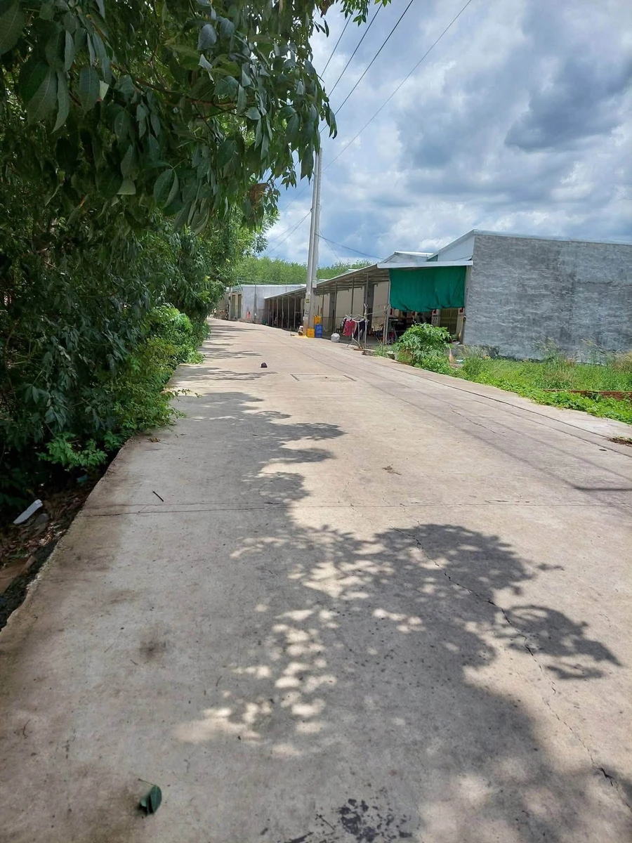 Bán kho xưởng Bình Mỹ 1896 m² giá 3 tỷ - Ảnh thu nhỏ 3