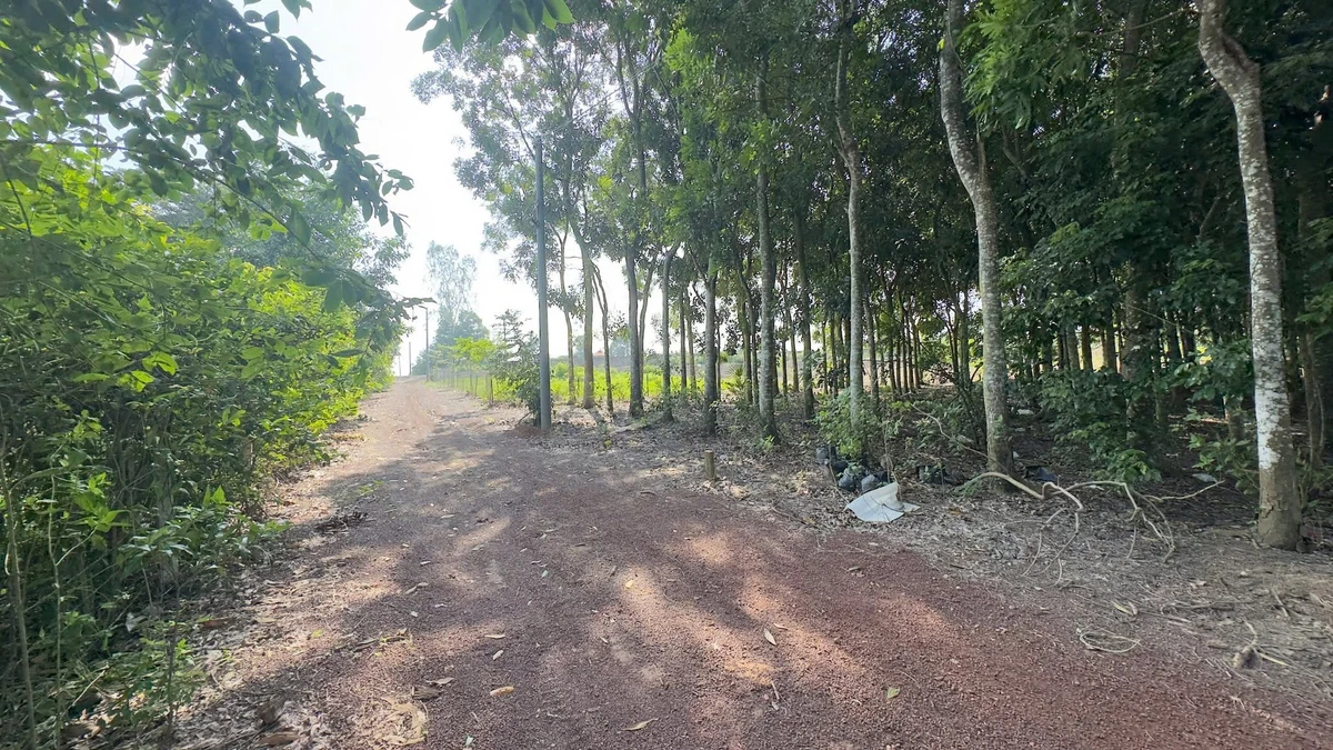 Bán đất Trị An 530m2, sổ hồng riêng 390 triệu - Ảnh thu nhỏ 4