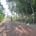 Bán đất Trị An 530m2, sổ hồng riêng 390 triệu - Ảnh thu nhỏ 4