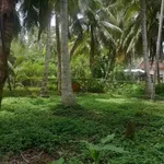 Bán đất Hòa Lộc 768m² ngang 20m - Ảnh thu nhỏ 3