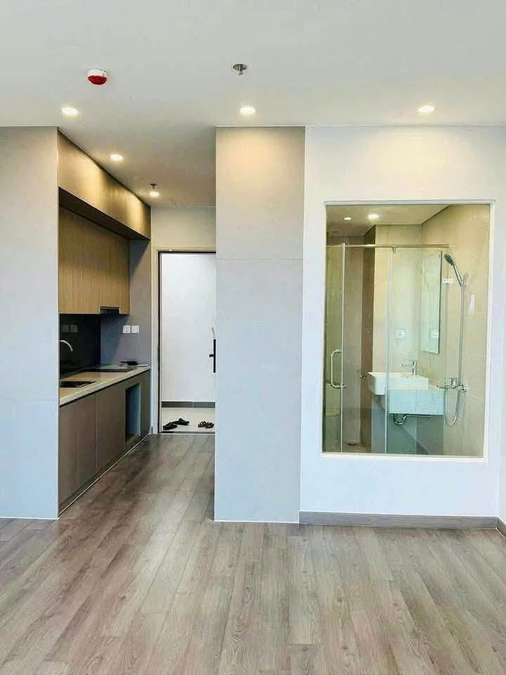 Bán căn Studio The Ruby view biển 30m², 1 tỷ 140 - Ảnh thu nhỏ 3