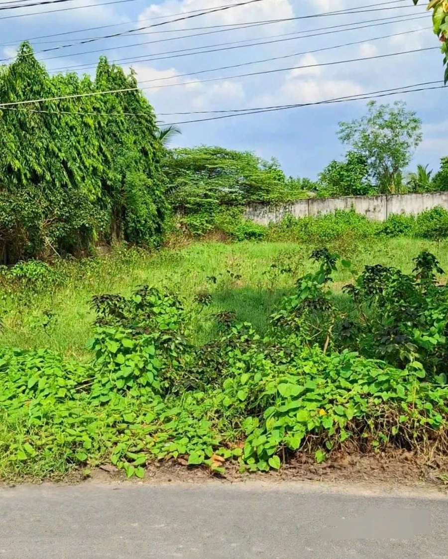 Bán lô đất mặt tiền 16x37m Đức Lập Tây Ninh 4.2 tỷ - Ảnh 1
