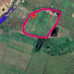 Bán đất 6000m2 trồng cây lâu năm Bình Thuận 1.3 tỷ - Ảnh thu nhỏ 3