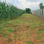 Bán đất 503,9m2 ngang 28,3m, bìa riêng, giá 399 triệu tại Khánh Xuân - Ảnh thu nhỏ 2