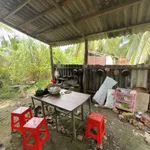 Bán đất 427m² tặng nhà 2 phòng Phú Hưng, Bến Tre - Ảnh thu nhỏ 4