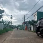 Bán đất hẻm 51 Võ Thị Sáu Tân Phú 215m² 2.95 tỷ - Ảnh thu nhỏ 1