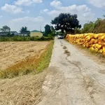 Bán đất Tân Trụ, Long An, 112m², 340 triệu - Ảnh thu nhỏ 1