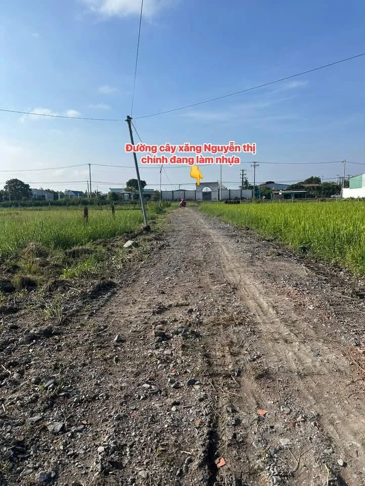 Bán đất nền Hòa Khánh Nam 200m² 790 triệu - Ảnh thu nhỏ 3