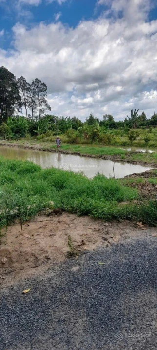 Bán đất 24m dài 60m phường Mỹ Trà - Ảnh 1