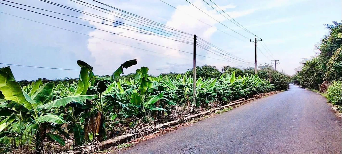 Bán đất 8 sào Bàu Lâm Xuyên Mộc 7 tỷ - Ảnh thu nhỏ 4