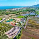 Cách bãi tắm Lộc An chỉ 2km - DT 193,6m2 - 8,7m x 23m sẵn 100m2 thổ cư - Ảnh thu nhỏ 8