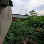 Bán nhà cũ đất đẹp ngay chợ Thạnh Phú 125m² 1,2 tỷ - Ảnh thu nhỏ 4