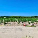 Bán đất nền 50m² Phường Minh Hưng, Thủ Đức 520 triệu - Ảnh thu nhỏ 5