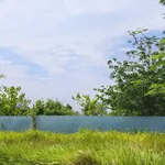 Bán lô đất 56.6m² Việt Nhân, Long Phước 2,29 tỷ - Ảnh thu nhỏ 2