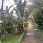 Bán đất xây nhà rộng rãi 1.253,4m xã Cái Nhum, Vĩnh Long giá chỉ 1 tỷ 6 - Ảnh thu nhỏ 2