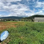Bán đất 5x25m gần trường Tiểu Học Bông Lai, xã Hiệp Thạnh, Đức Trọng, Lâm Đồng - Ảnh thu nhỏ 5