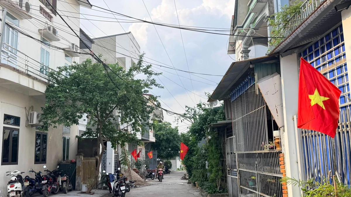 Bán đất nội thị xã Phú Thọ ~100m2, 1 tỷ - Ảnh thu nhỏ 3