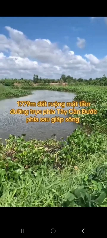 Bán đất nông nghiệp 1779m2 mặt tiền Cần Dước Long An
