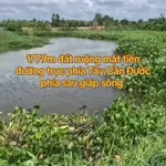 Bán đất nông nghiệp 1779m2 mặt tiền Cần Dước Long An - Ảnh thu nhỏ 1