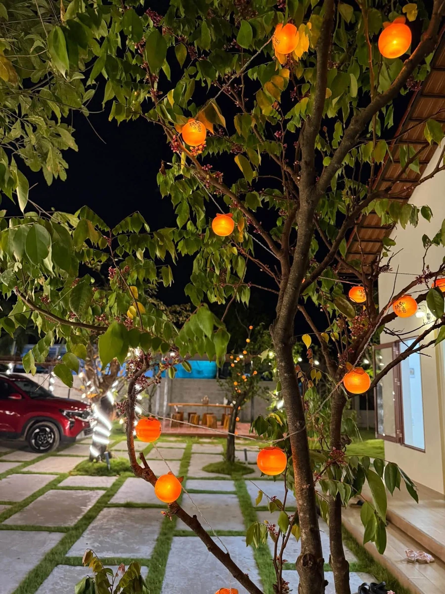 Bán đất vườn có nhà 1.606m² cách Phan Thiết 9km, giá 1 tỷ 850 triệu - Ảnh thu nhỏ 2