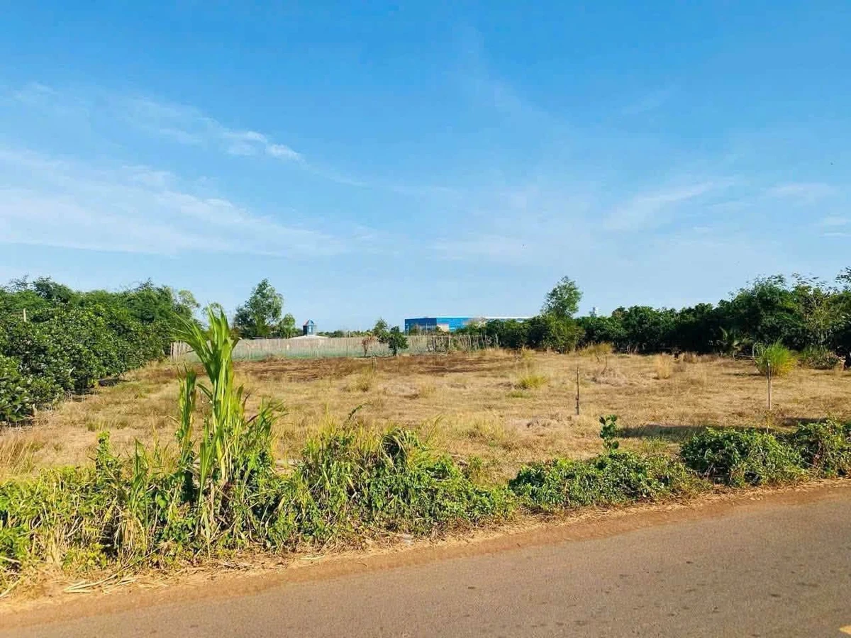 Bán đất mặt tiền 1700m² Phạm Hùng BRVT - Ảnh 1