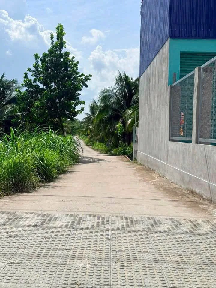 Bán đất 745.6m² tại xã Phú Hưng, Bến Tre - Ảnh thu nhỏ 5