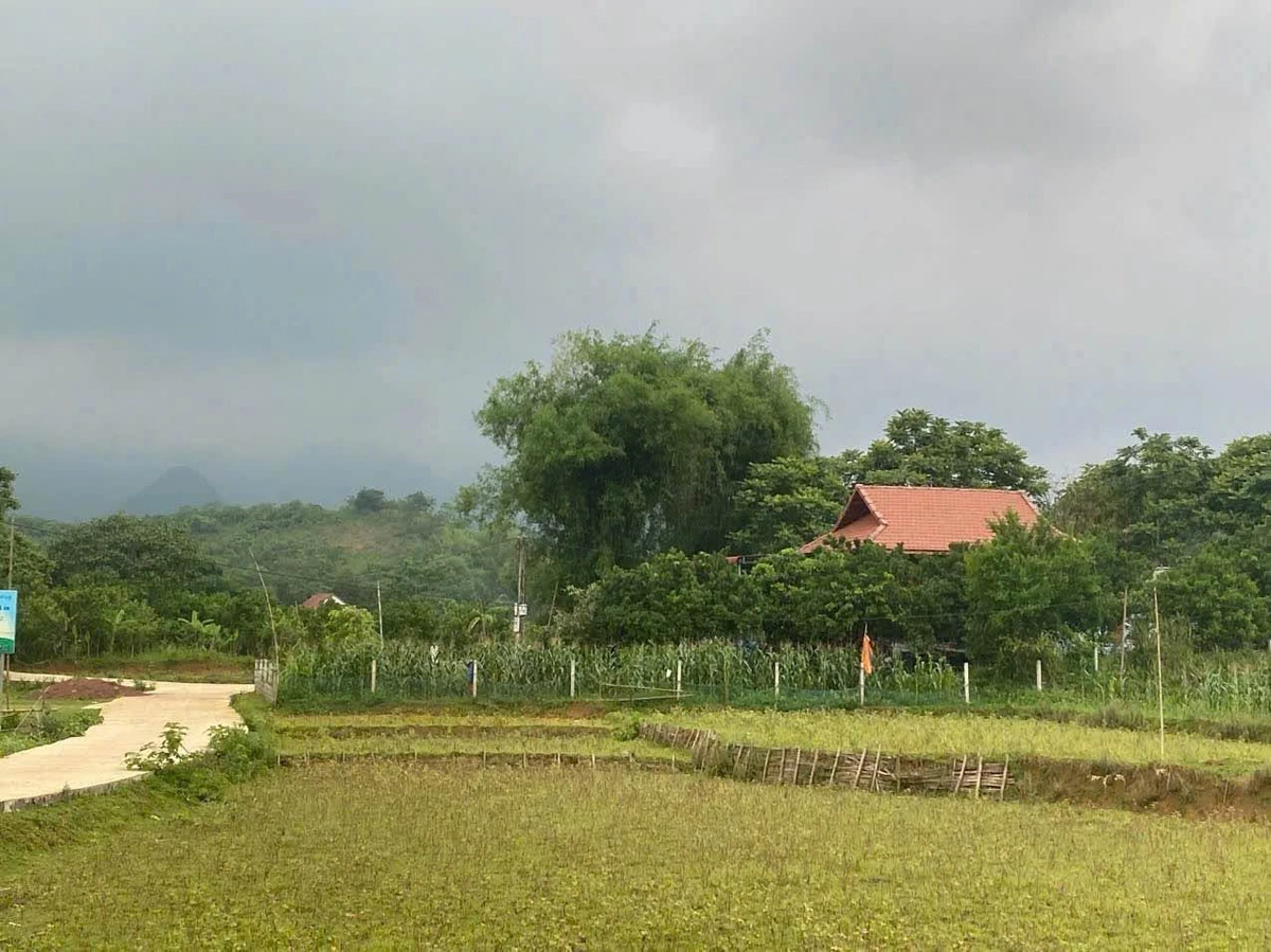 Bán đất vườn trồng bưởi 508m2, có 100m2 thổ cư tại Phú Vinh, Tân Lạc, Hòa Bình - Ảnh thu nhỏ 2