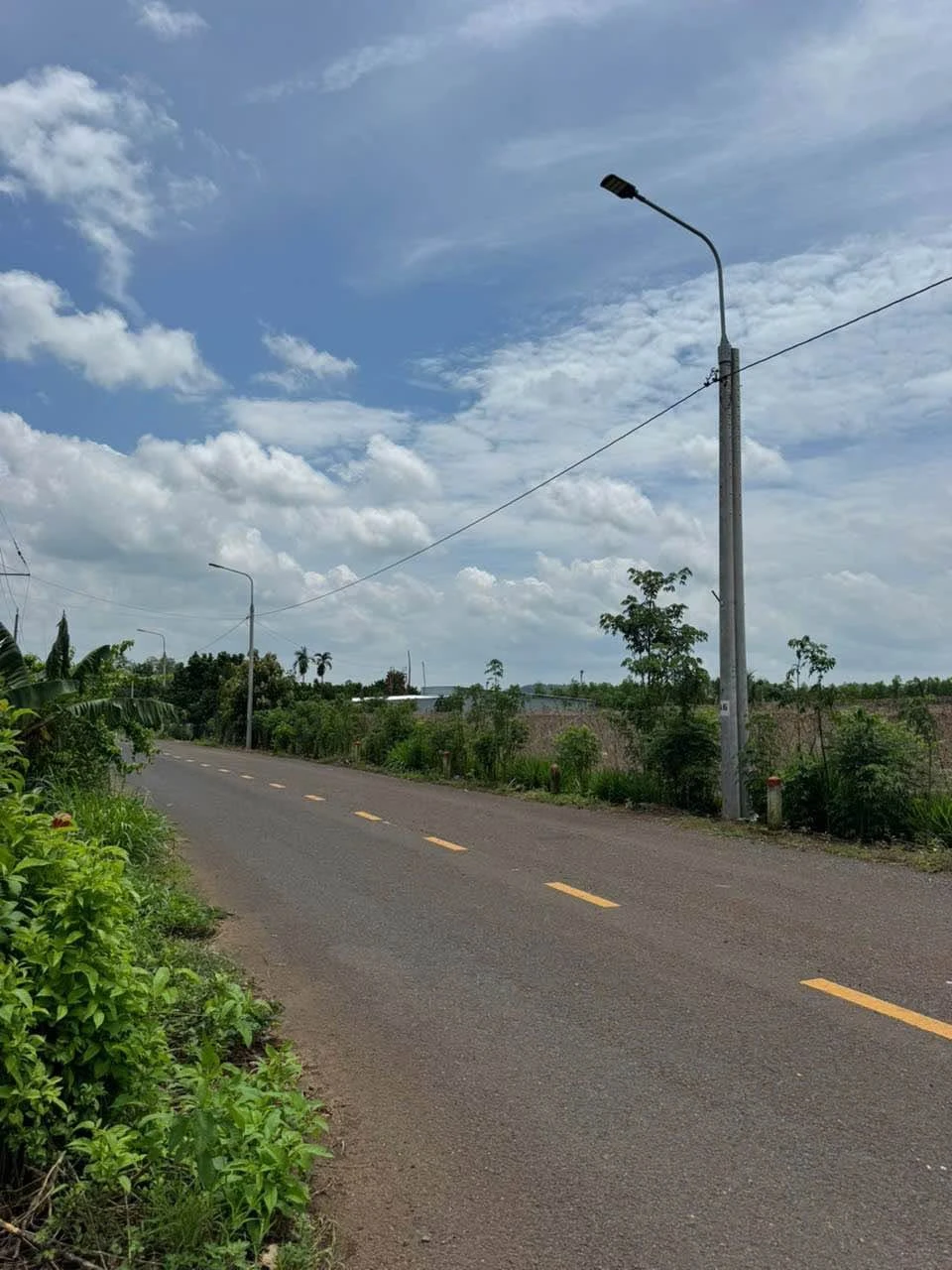 Bán đất 2500m2 nhà vườn nghỉ dưỡng Cẩm Mỹ - Ảnh 1