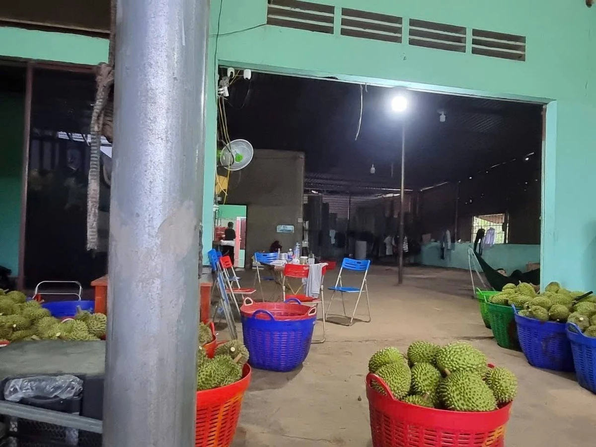 Bán kho xưởng Đức Liễu, Bình Phước 3,7 tỷ - Ảnh thu nhỏ 3