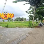 Bán đất lô góc 2 mặt tiền 190m2 giá 529 triệu sát ranh TP. Tân An, Long An - Ảnh thu nhỏ 1