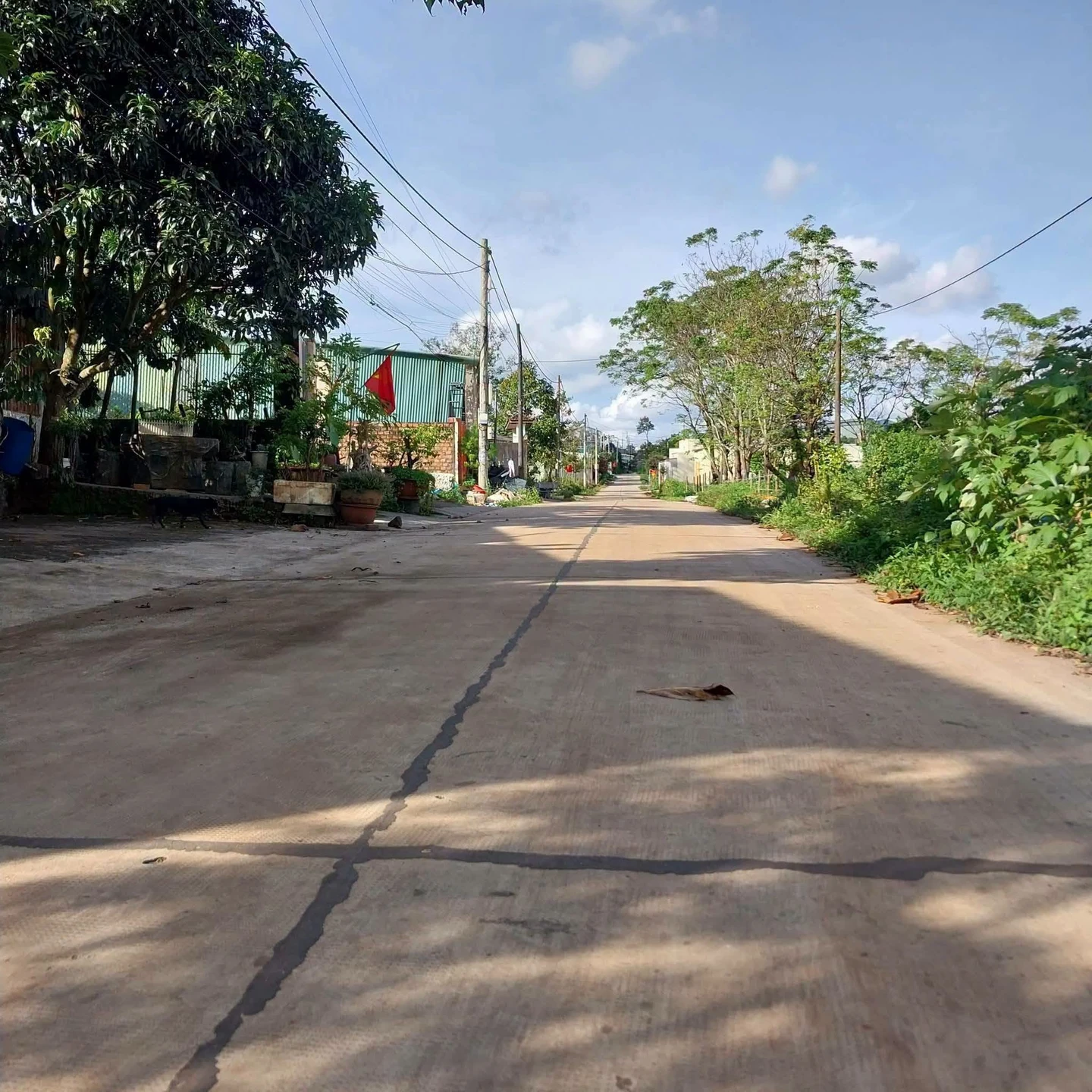 Bán đất hẻm Hoàng Sa Diên Hồng 5x32m giá 700tr - Ảnh 1