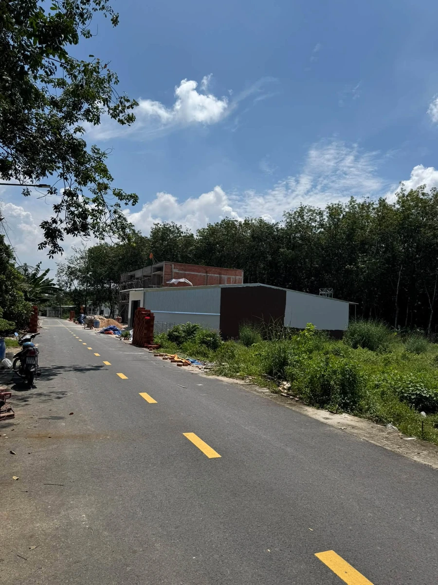 Bán đất 192m² gần KCN Mỹ Phước 2, đường Mỹ Phước – Tân Vạn, Bình Dương - Ảnh thu nhỏ 2
