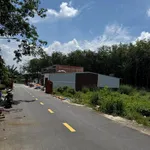 Bán đất 192m² gần KCN Mỹ Phước 2, đường Mỹ Phước – Tân Vạn, Bình Dương - Ảnh thu nhỏ 2