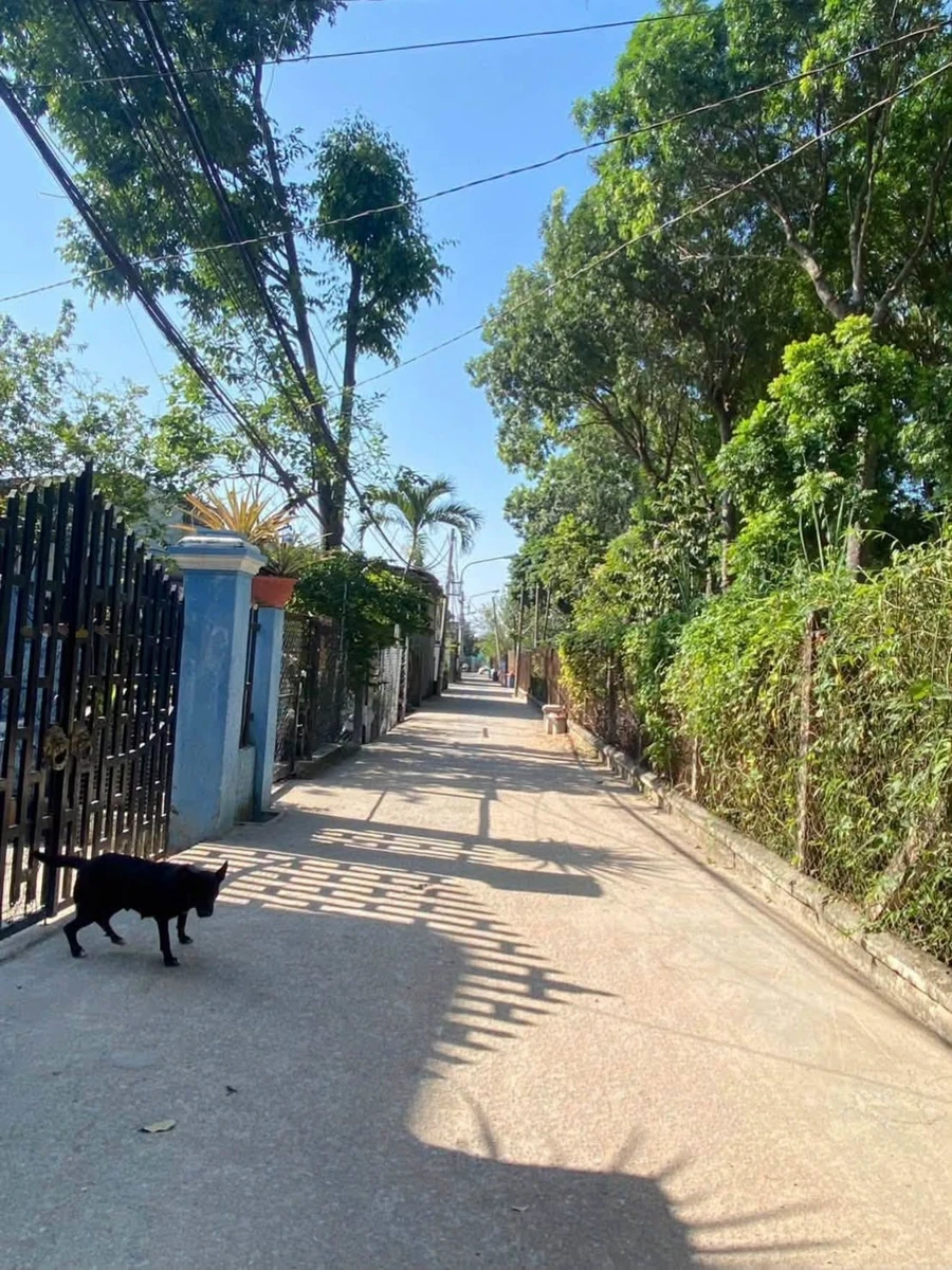 Bán đất thổ cư 110m2 Hưng Định, Thuận An gần nhà thờ Búng, giá 2,38 tỷ - Ảnh thu nhỏ 2
