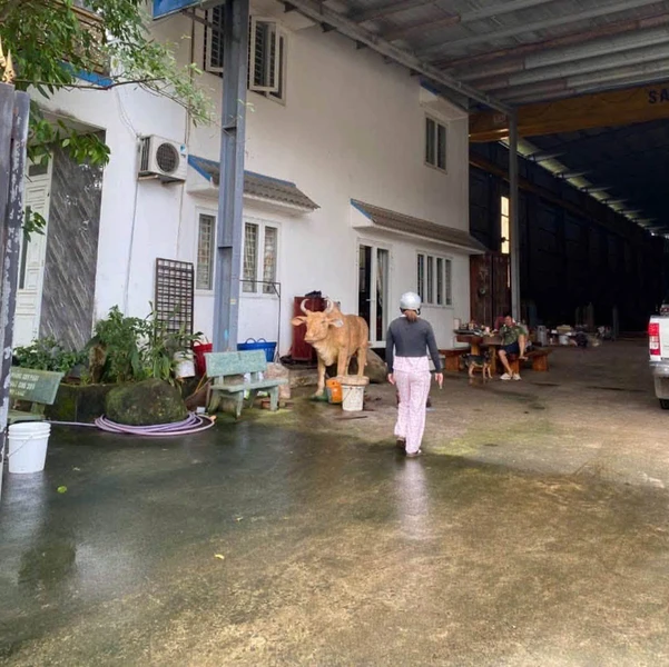 Cho thuê xưởng 1800m2 + nhà 2 tầng 3PN, Đồng Nai