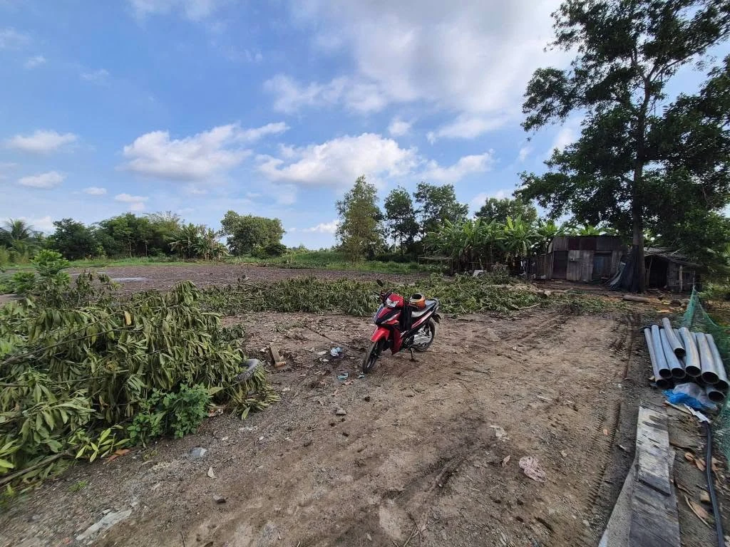 Bán đất thổ cư 1000m2 mặt tiền, Cần Đước, Long An - Ảnh thu nhỏ 2