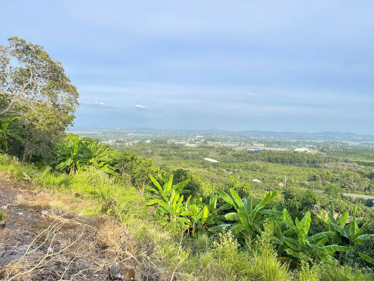 Bán đất vườn 1.000m² La Ngà, Đồng Nai - Ảnh thu nhỏ 5
