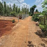Bán đất 1200m2 mặt tiền 8m Châu Đức Nhà Bè - Ảnh thu nhỏ 4
